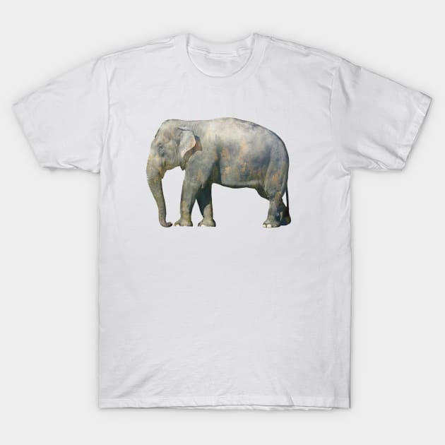 Lonely elephant T-Shirt by Lazarino